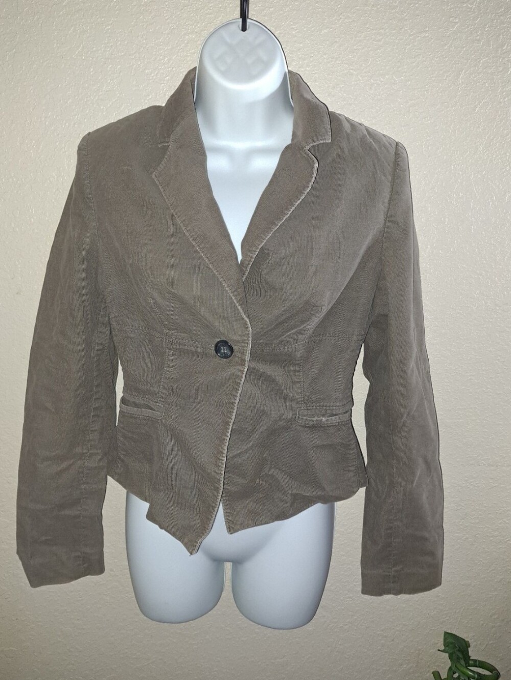 The Limited Blazer
